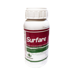 Surfare 1L
